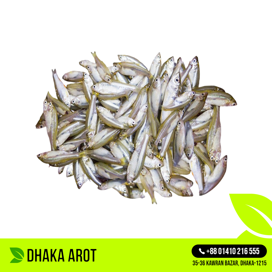 Fresh Mola Fish (মলা মাছ)