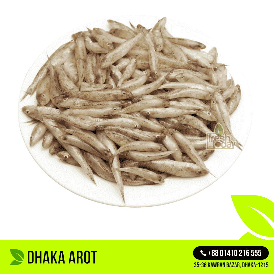 Fresh Small Baila (গুঁড়া বাইলা / ছোট বেলে)