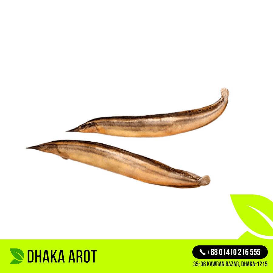 Sea Eel Premium - সাগরের বাইন মাছ প্রিমিয়াম (কেজিতে ২৫ থেকে ৩০ পিস)