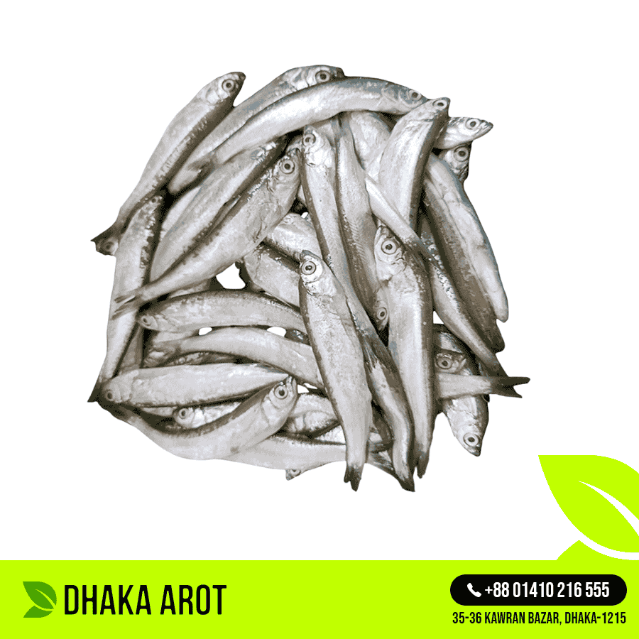 Fresh Chela Fish (চেলা মাছ)