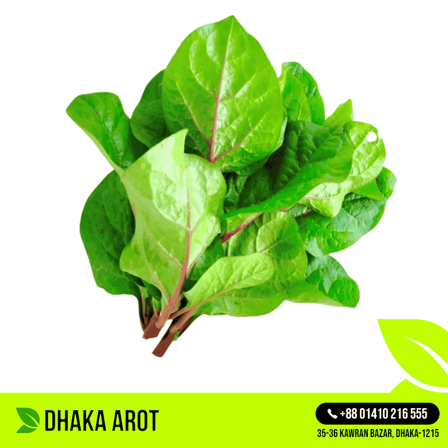 Malabar Spinach (পুইশাক)