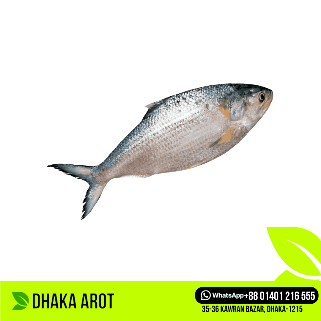 Hilsa Fish - 1kg±  Size (ইলিশ মাছ - ১ কেজি ± )