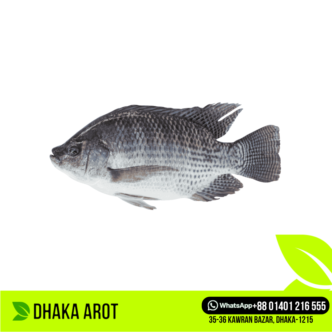 Tilapia Fish- তেলাপিয়া মাছ (প্রতি পিস 500 গ্রাম থেকে 600 গ্রাম )