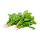 Leaf vegetable (শাক)