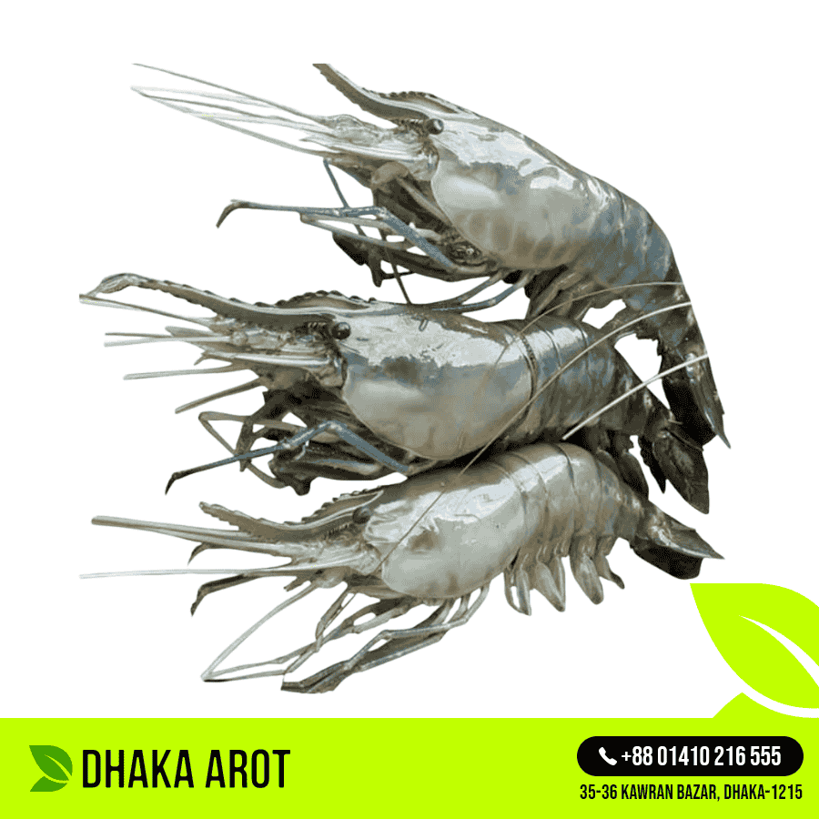 Freshwater Prawn Small - গলদা চিংড়ী ছোট (কেজিতে ৩০ থেকে ৩৫ পিস)