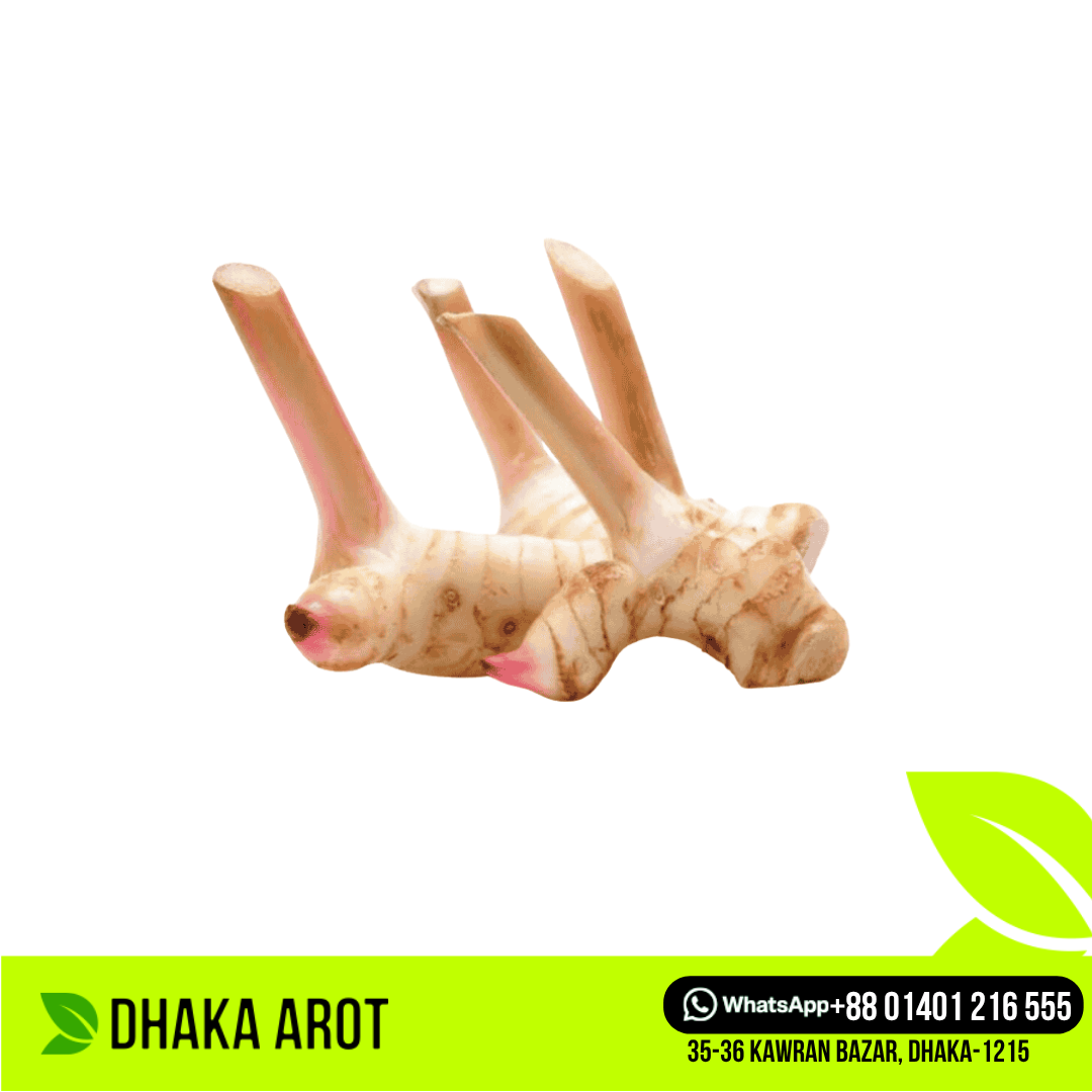 Thai Ginger / Galangal (থাই আদা)