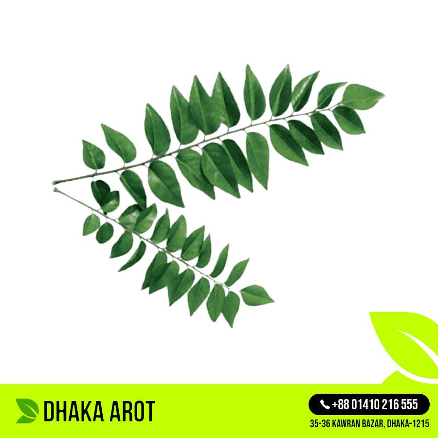 Curry Leaves (কারি পাতা)
