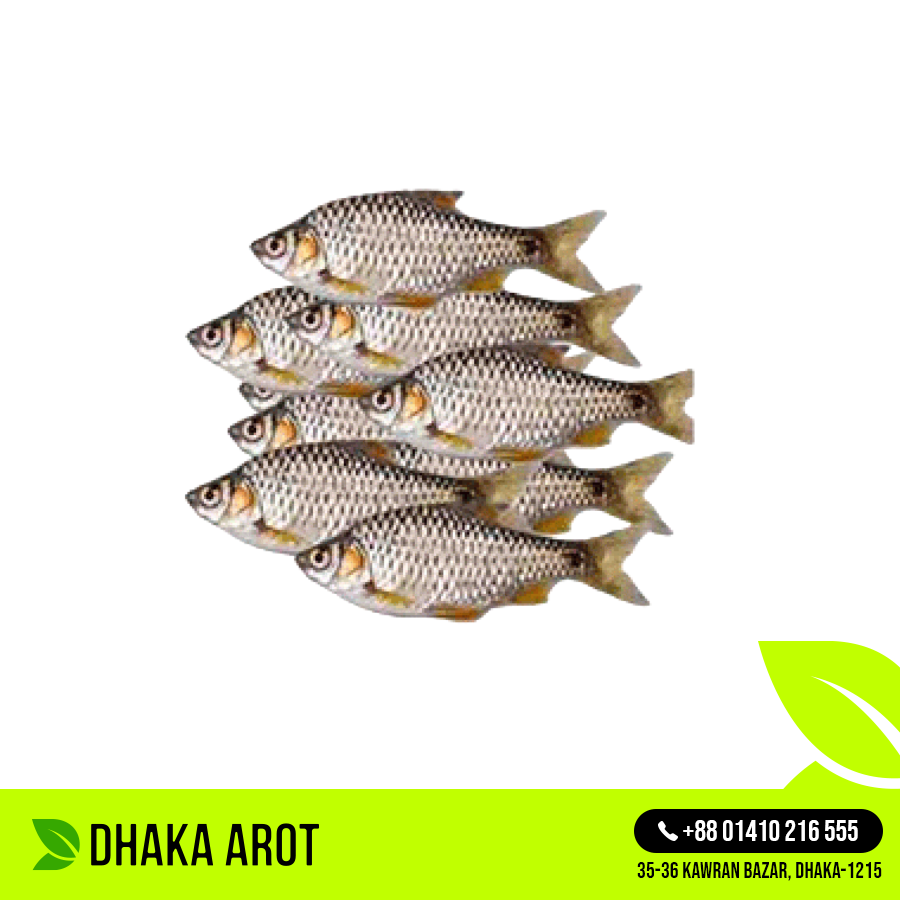 Puti Fish Premium - পুঁটি মাছ প্রিমিয়াম (প্রতি কেজিতে ৫০ থেকে ৬০ পিস)