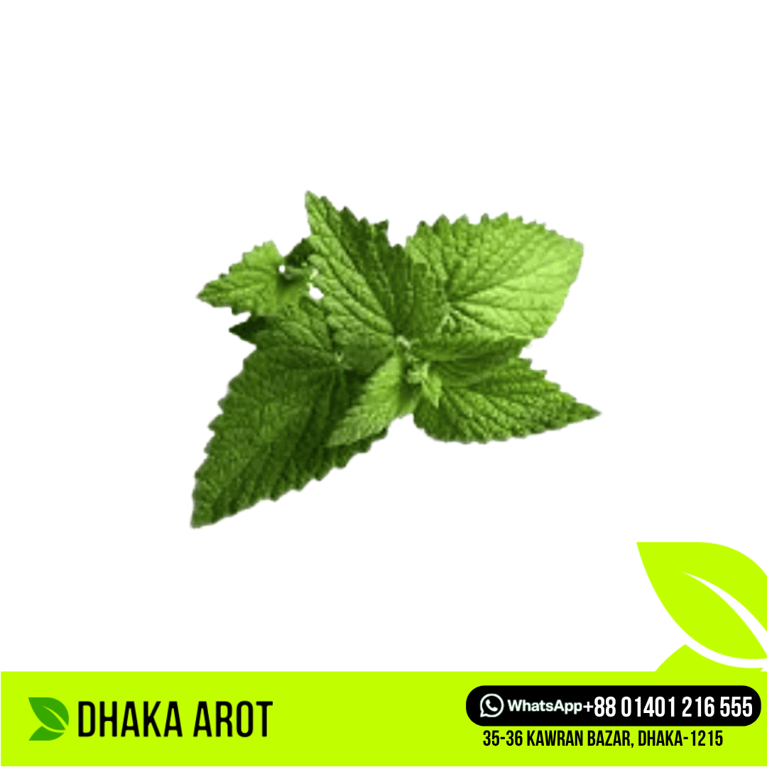Mint Leaves (পুদিনা পাতা)
