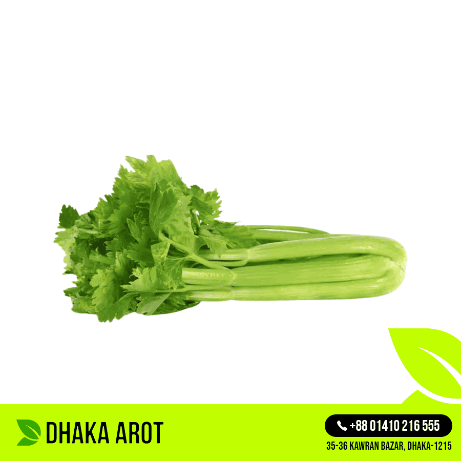 Celery (ছেলারী)
