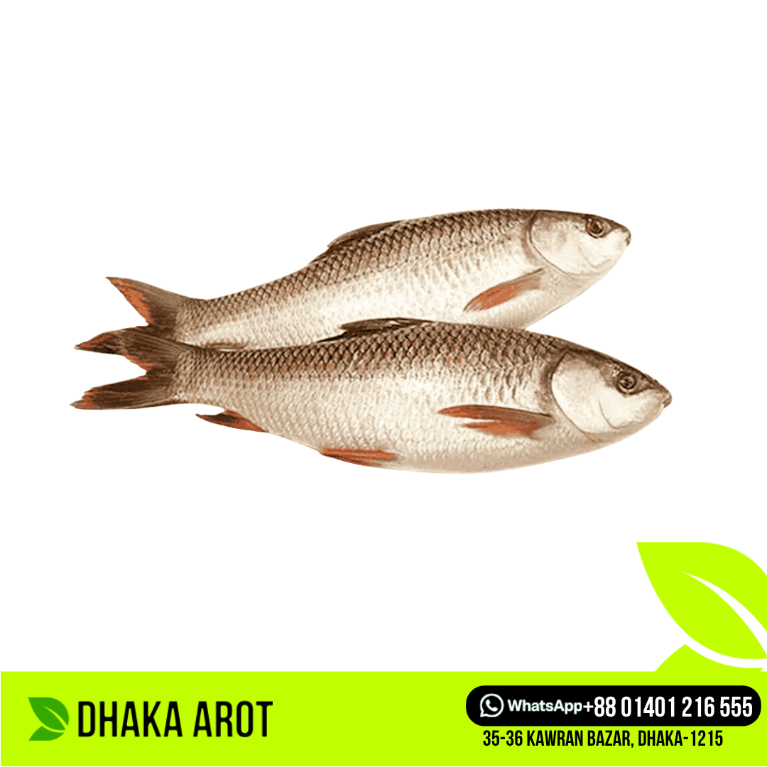 Live Rui Fish Medium  - রুই মাছ জ্যান্ত (  (প্রতি পিস 1.5 থেকে 2 কেজি)