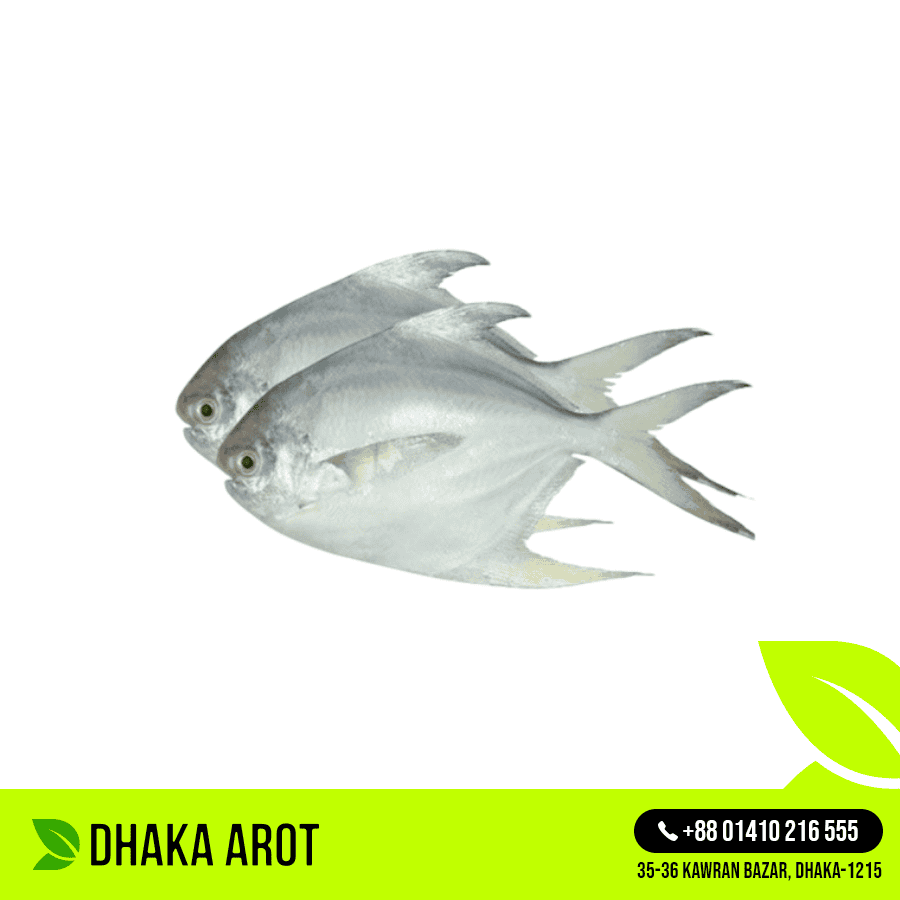 Rupchanda Fish Premium - রূপচাঁদা মাছ প্রিমিয়াম (কেজিতে ৪ থেকে ৫ পিস)