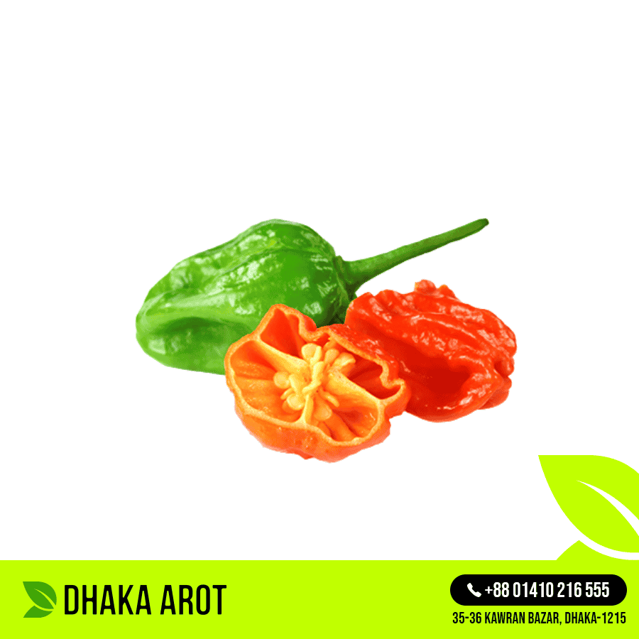 Bombay Chili / Naga Chili (বম্বাই মরিচ)