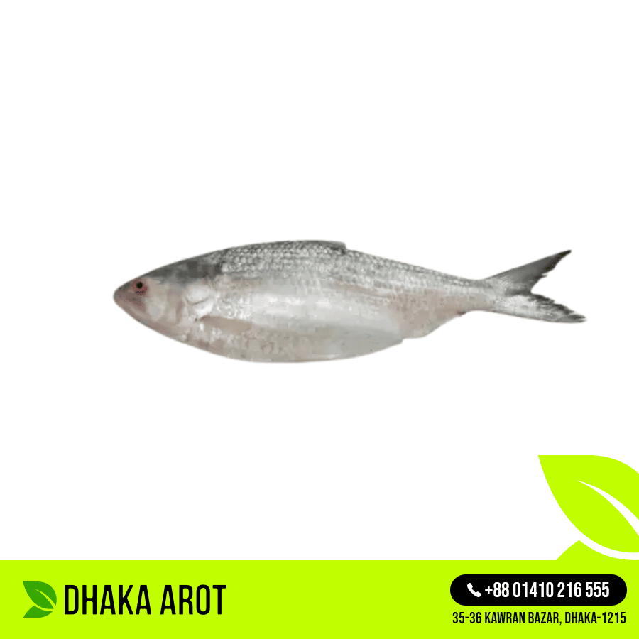 Hilsa Fish - Per Pc 300 gm ± Size (ইলিশ মাছ - ৩০০ গ্রাম ± )