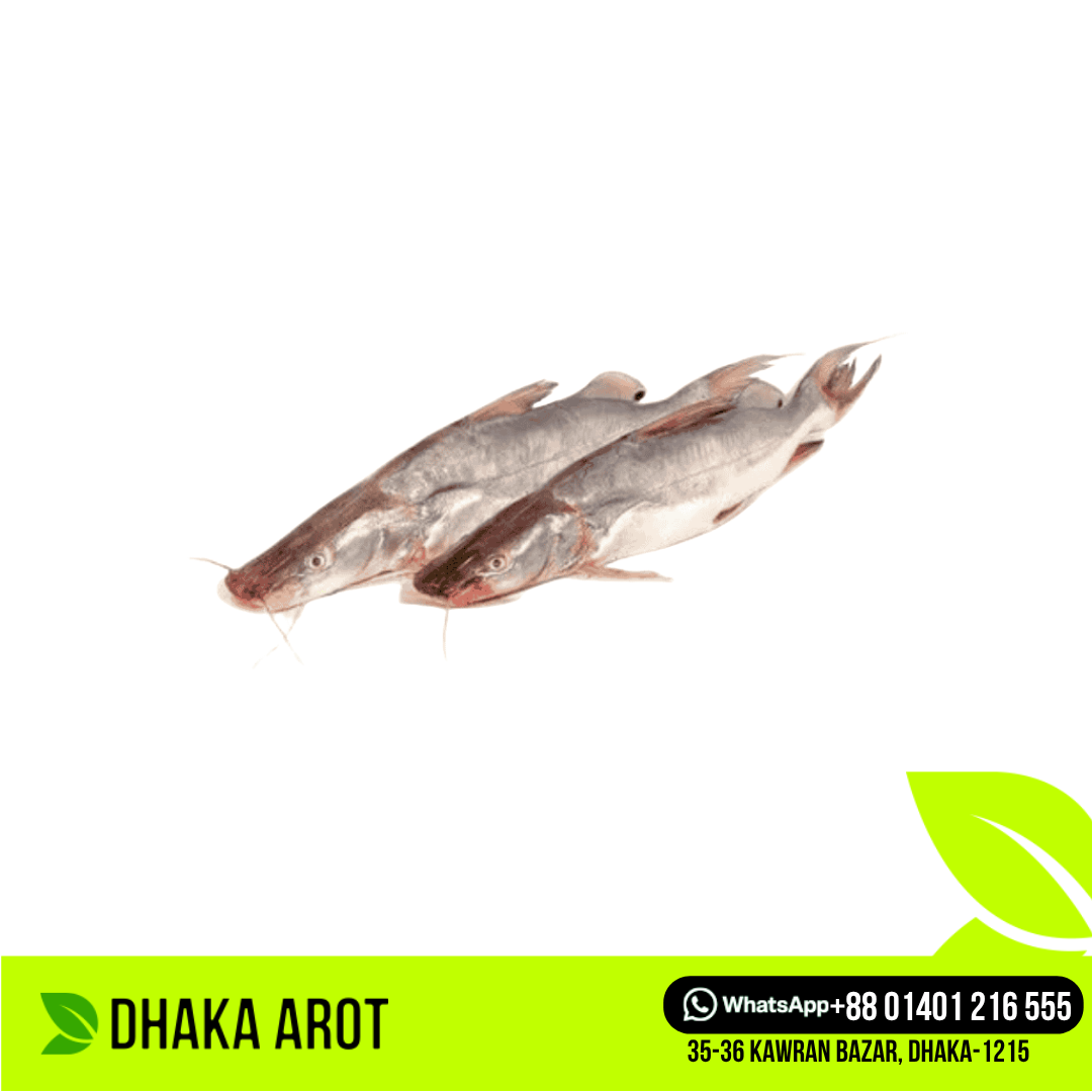 Ayer Fish - আইড় মাছ (প্রতি পিস ১ কেজি থেকে ১.৫ কেজি)