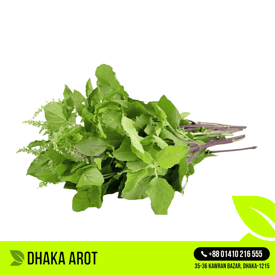 Holy Basil (তুলসী পাতা)