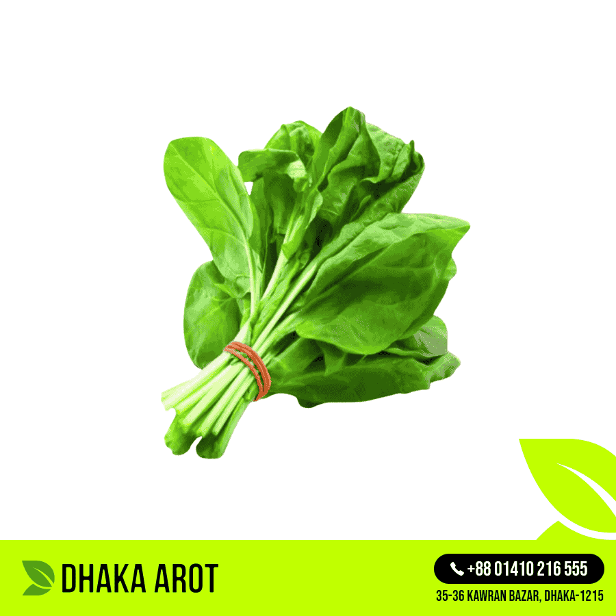 Spinach (পালং শাক)