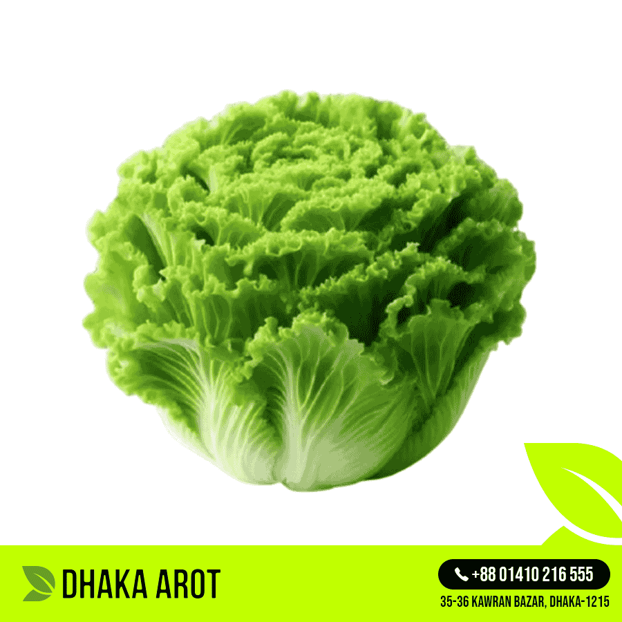 Iceberg Lettuce (আইসভার লেটুস)