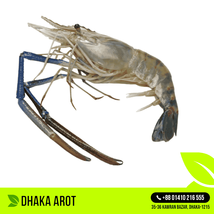 Giant Freshwater Prawn - গলদা চিংড়ী বড় (কেজিতে ১০ থেকে ১২ পিস)