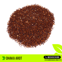 Basil Seeds / Tulsi Seeds - তুলসী বীজ (২৫০ গ্রাম)