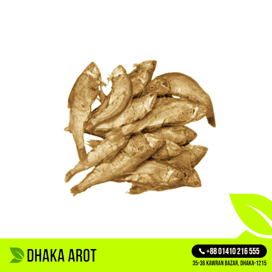 Phaisa Shutki (ফাইসা শুটকি)