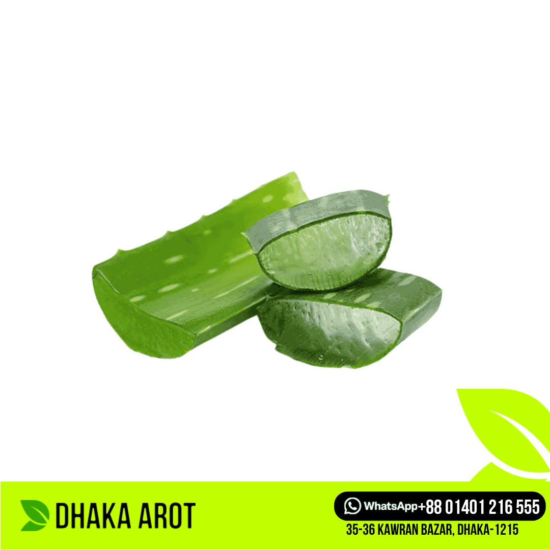 Aloe Vera (অ্যালোভেরা)