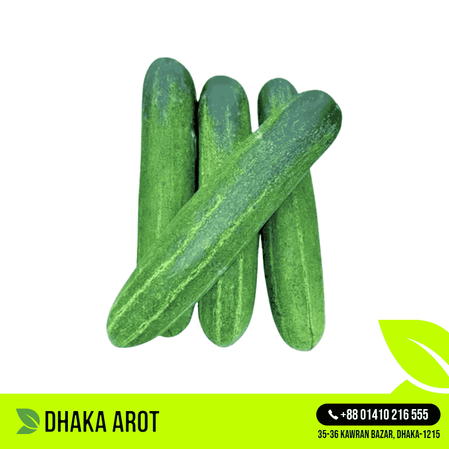 Long Cucumber (লম্বা শসা)