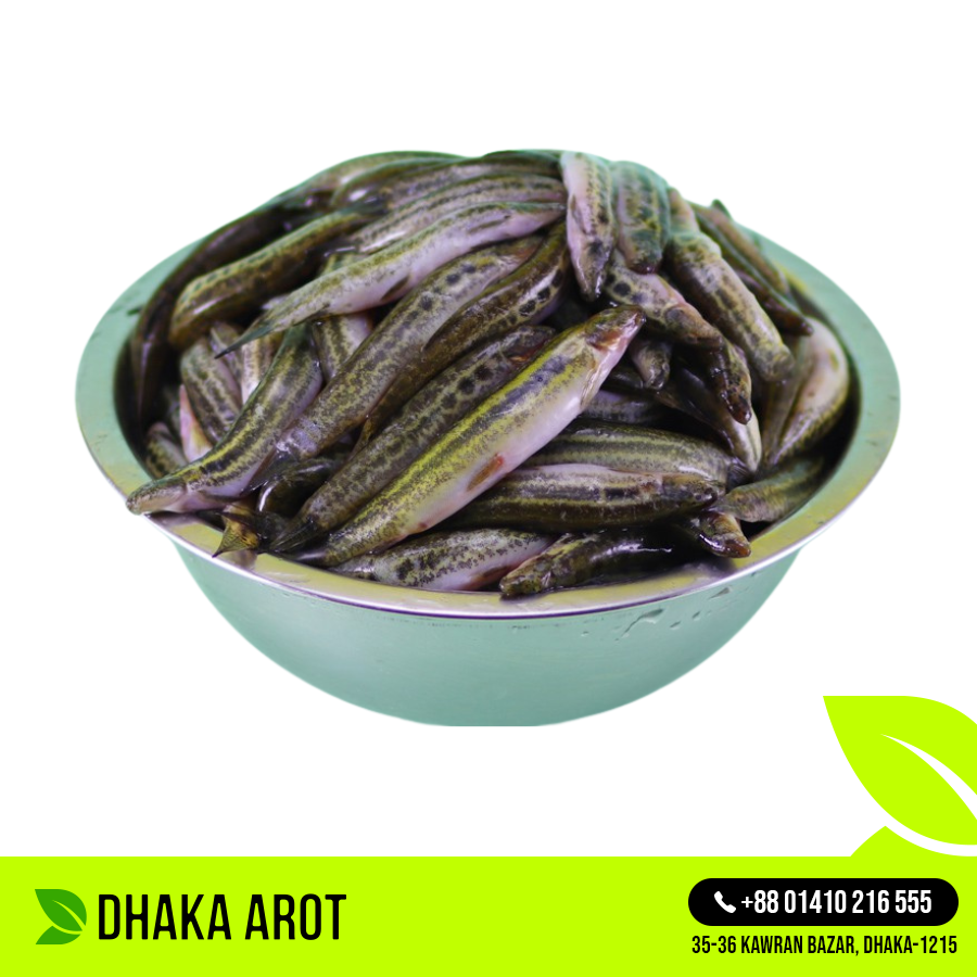 Fresh Bhutum Fish (বুতুম মাছ)