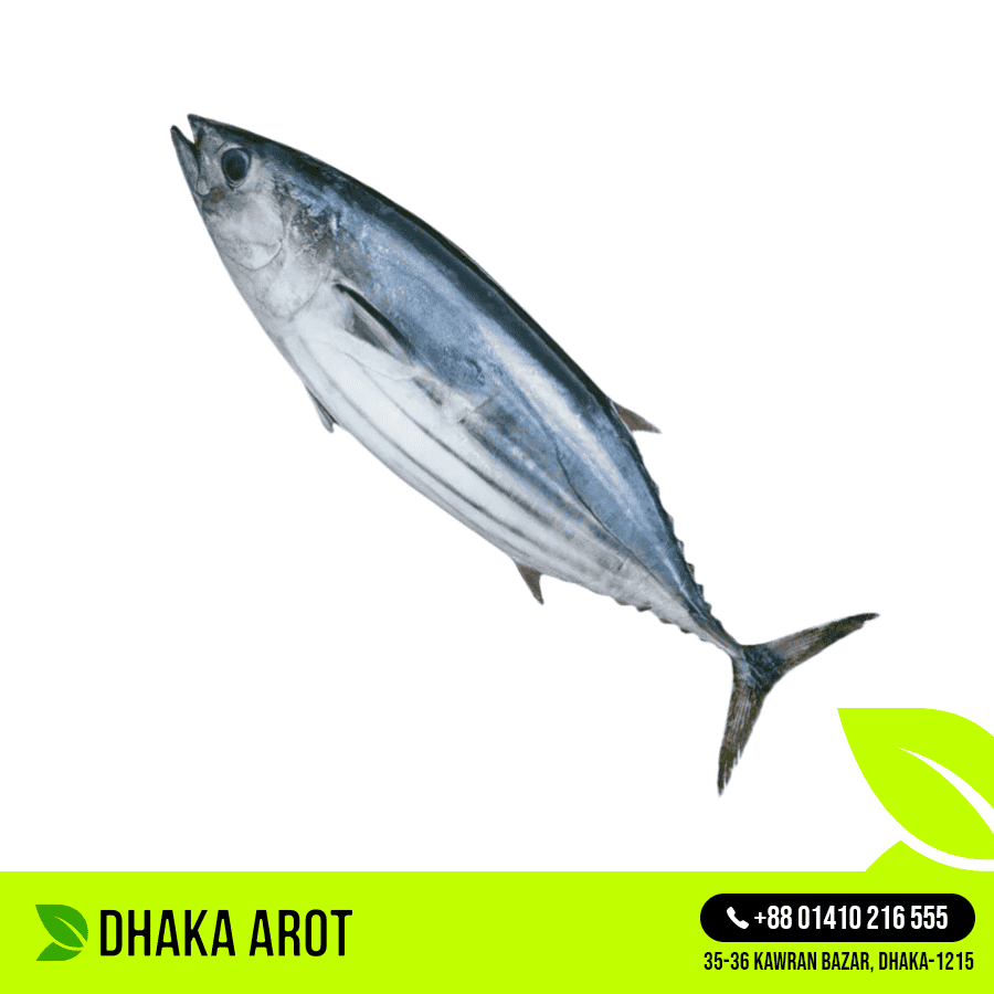 Tuna Fish Premium - টোনা মাছ প্রিমিয়াম (প্রতি পিস ৩ থেকে ৪ কেজি)