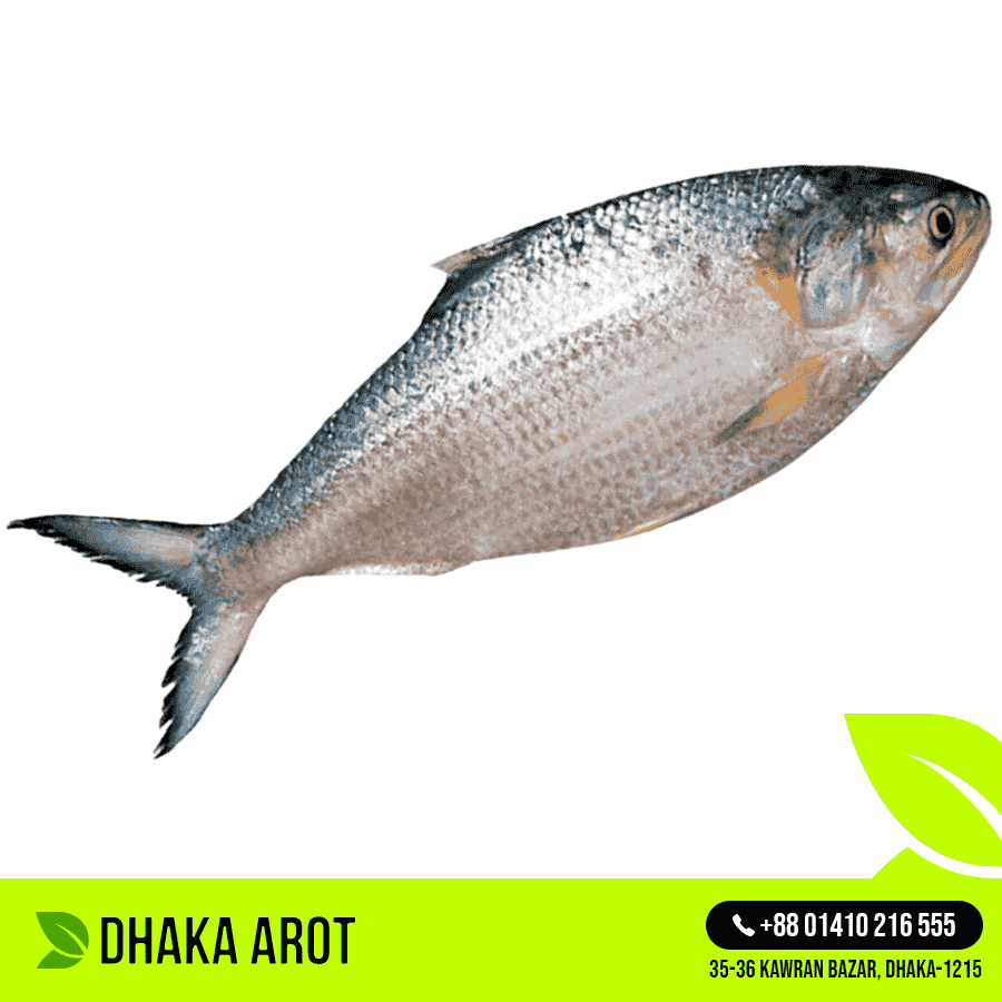 Hilsa Fish - 1kg±  Size (ইলিশ মাছ - ১ কেজি ± )