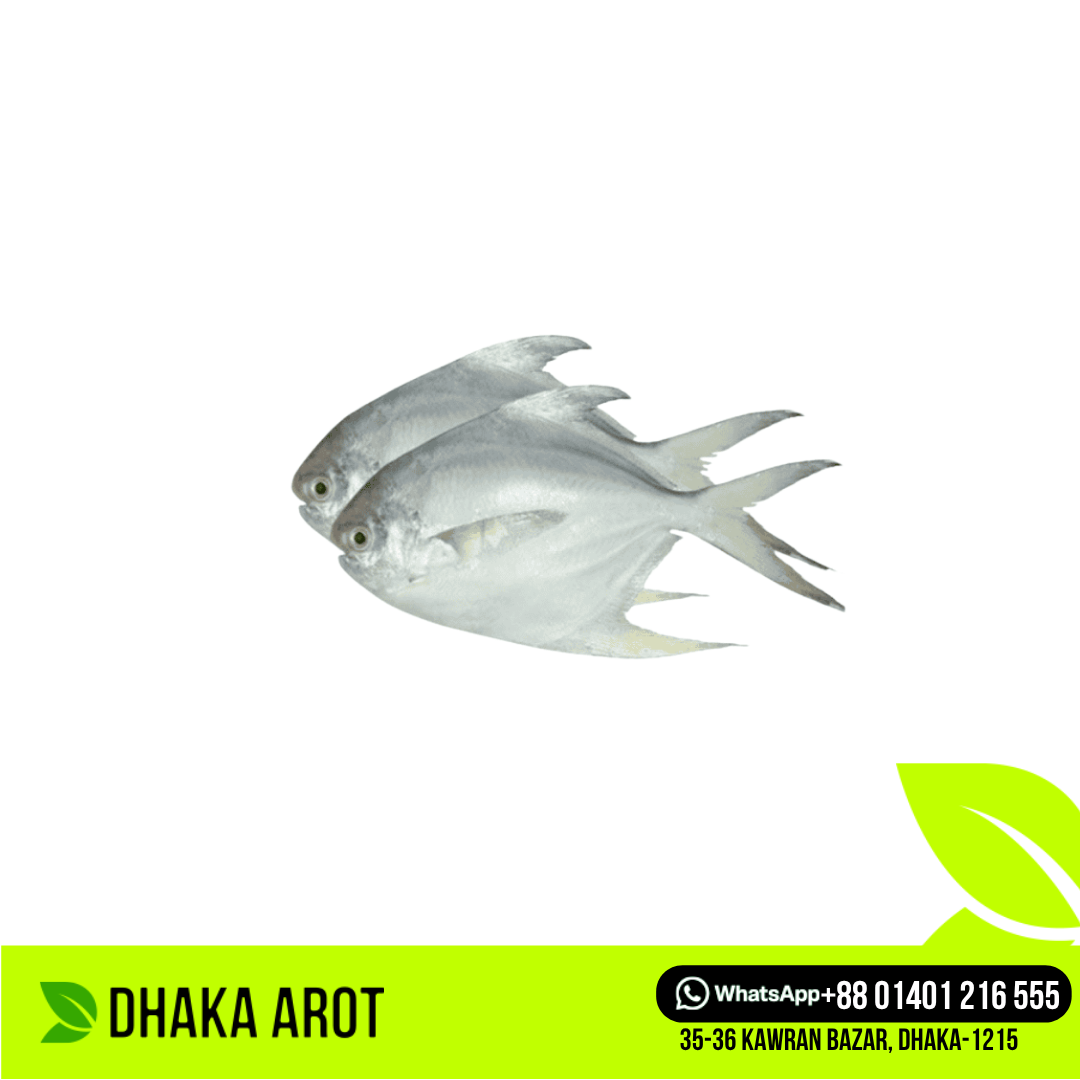 Rupchanda Fish Premium - রূপচাঁদা মাছ প্রিমিয়াম (কেজিতে ৪ থেকে ৫ পিস)