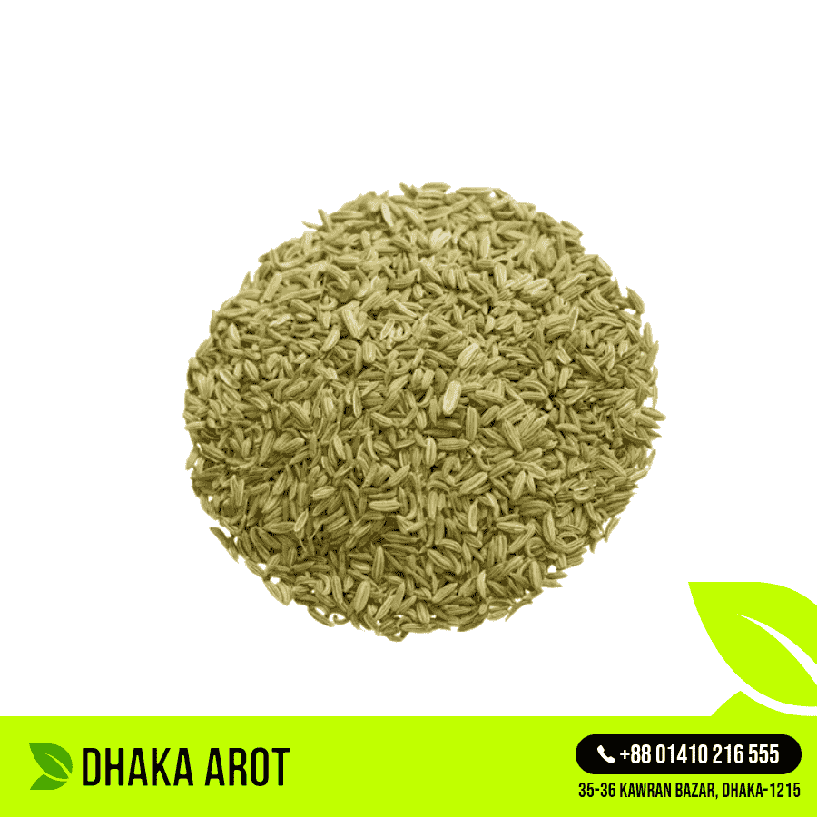 Fennel Seeds - মৌরি (২৫০ গ্রাম)