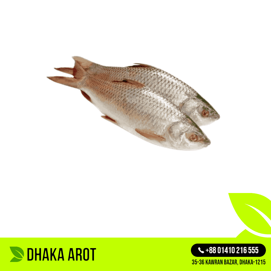 Premium Mola Fish (প্রিমিয়াম মলা মাছ)