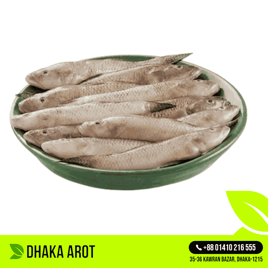 Fresh River Baila (নদীর বেলে মাছ) 8 - 10 Pc