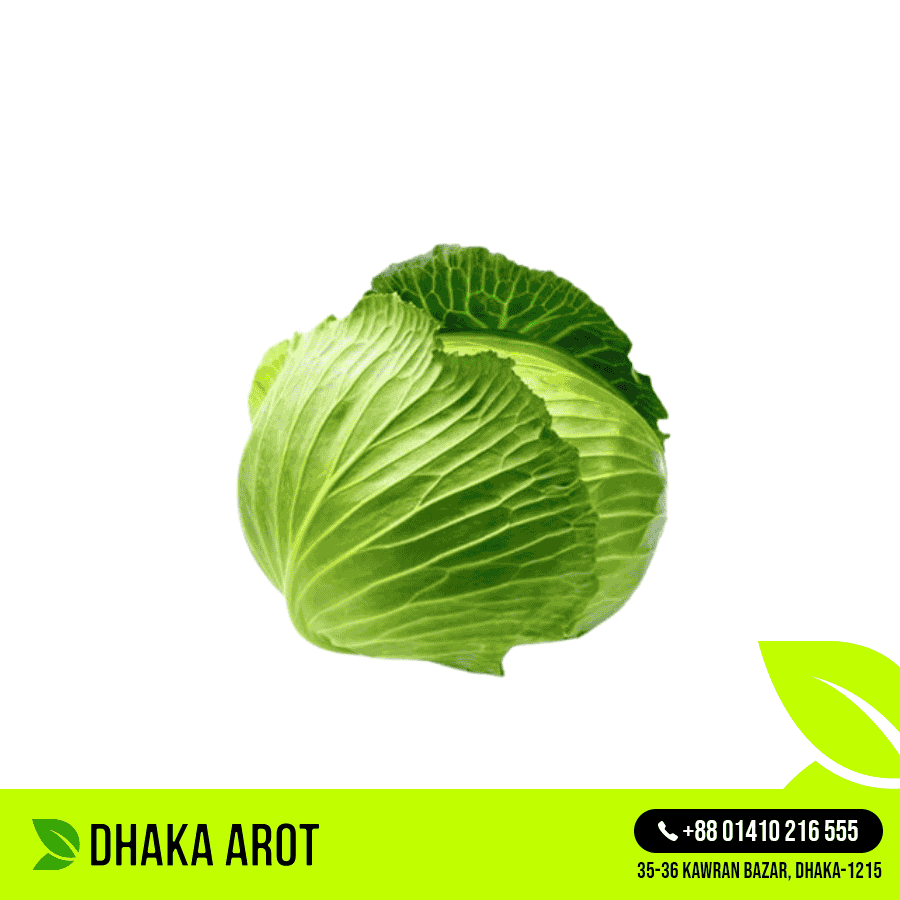 Cabbage (বাঁধাকপি)