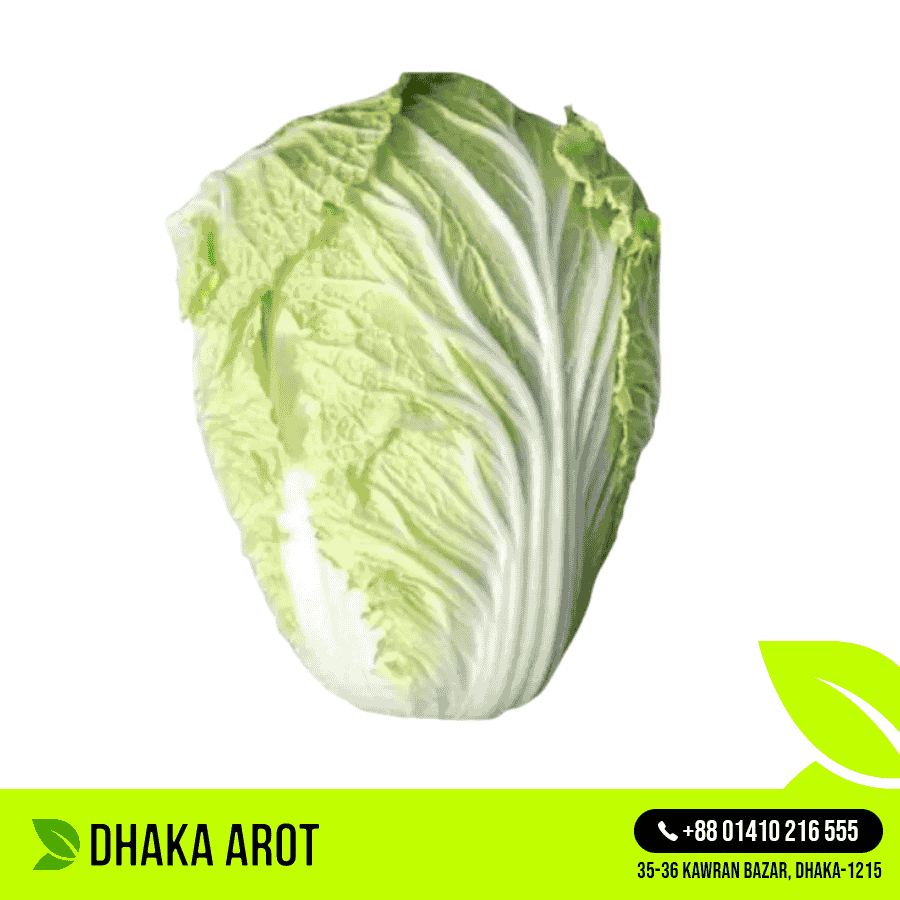 Chinese Cabbage (চীনা বাঁধাকপি)