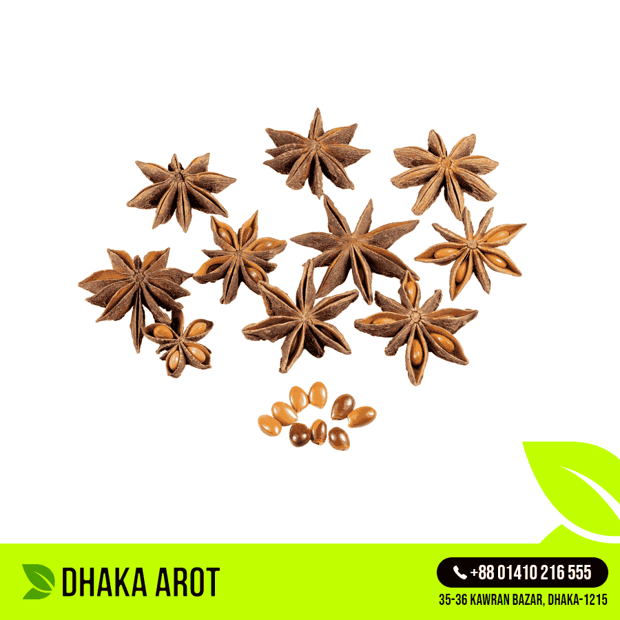 Star Anise - স্টার মশলা (২৫০ গ্রাম)