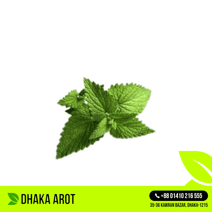 Mint Leaves (পুদিনা পাতা)