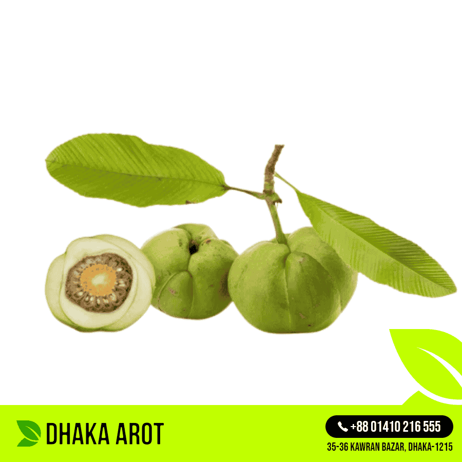 Elephant Apple Premium (চালতা প্রিমিয়াম)