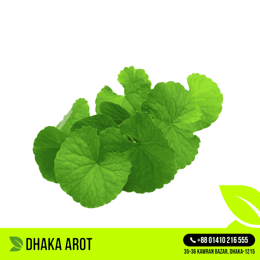 Thankuni Leaves (থানকুনি পাতা)