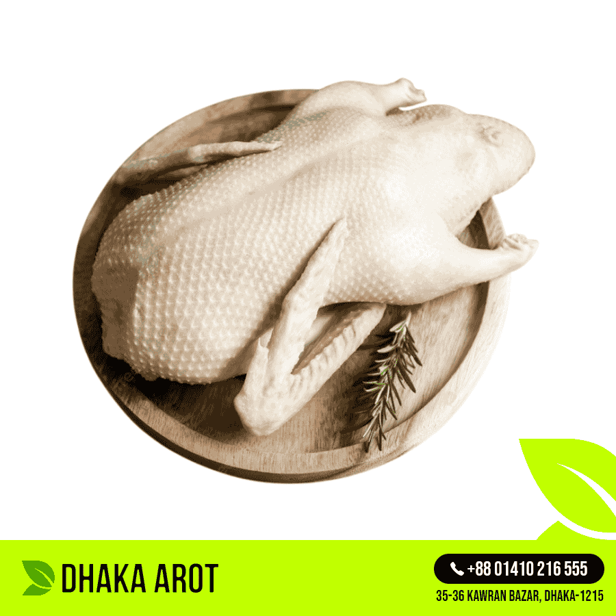 Swan / Goose (রাজ হাঁস) 2.5 KG +