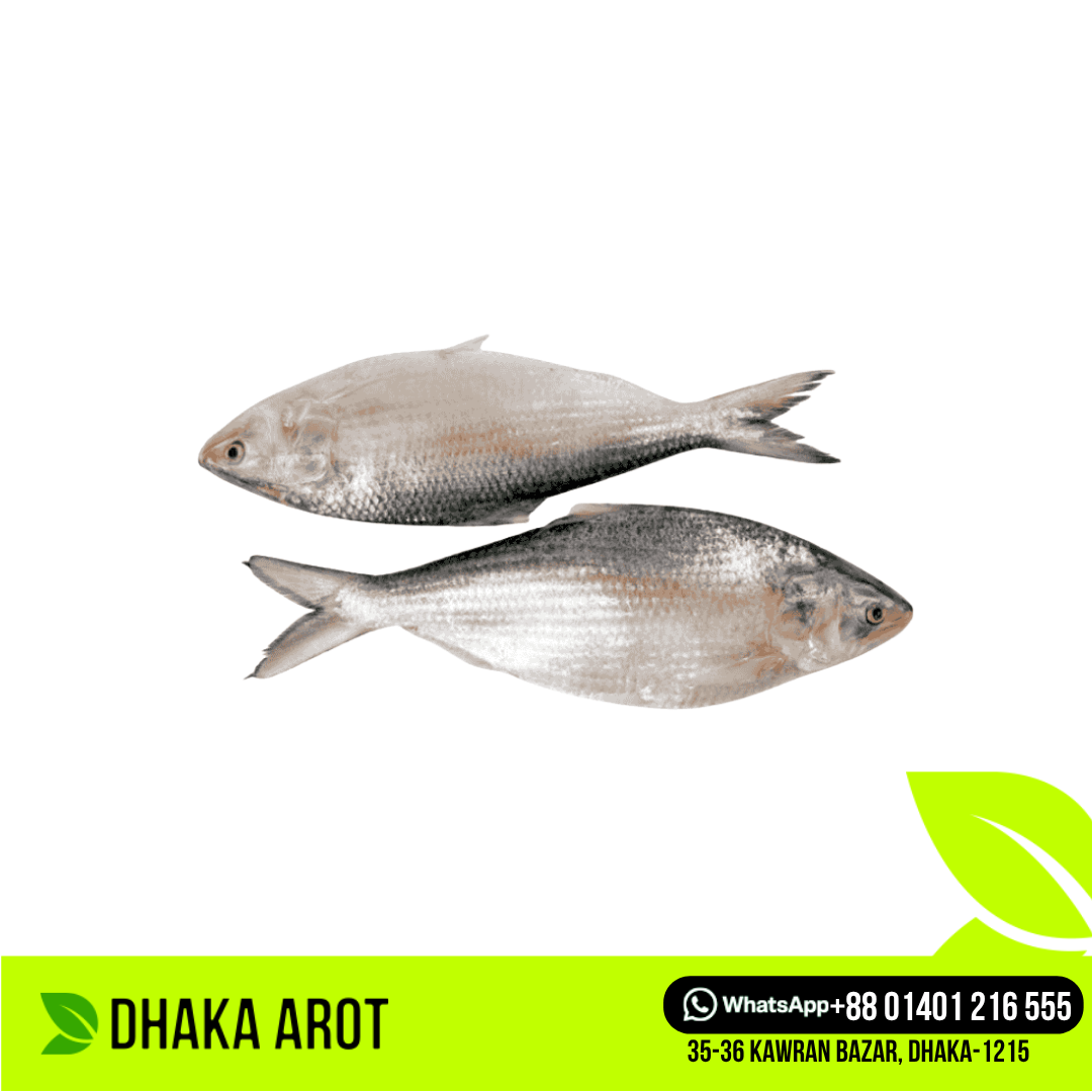 Hilsa Fish - 700gm ± Size (ইলিশ মাছ - ৭০০ গ্রাম ±)