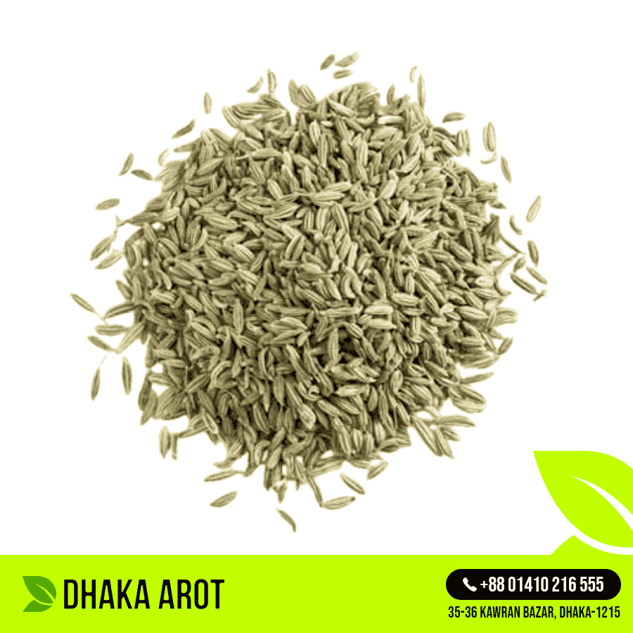 Fennel Seeds - মৌরি (২৫০ গ্রাম)