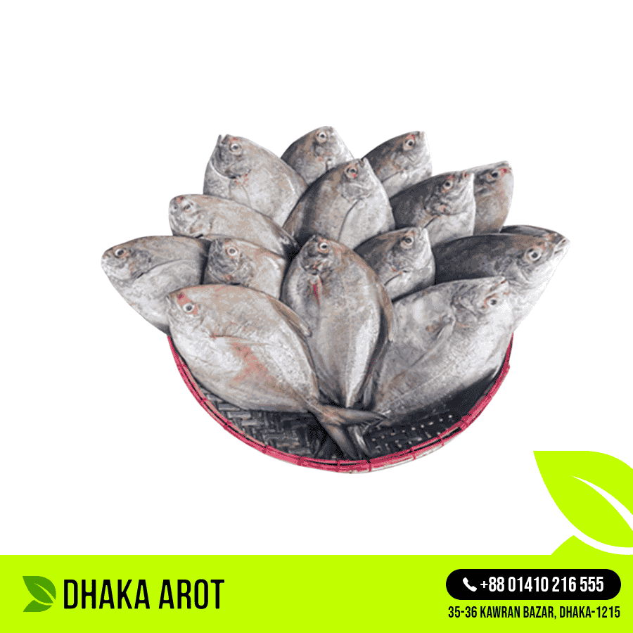 Black Chanda Fish (কালো চান্দা / নামা চান্দা)