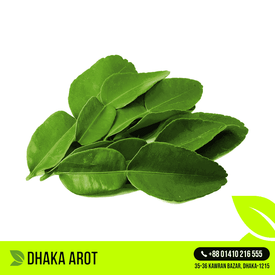 Thai Lemon Leaf / Kaffir Lime Leaf (থাই লেবু পাতা)